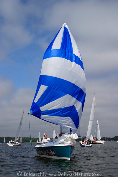 Regatta in Masuren Segler Skipper mit Wind in Segeln, sailing at lake Niegocin See bei Gizycko