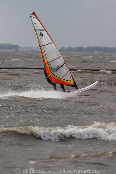 Surfer mit Windsegel ber Elbe Wasser gleiten, brettern auf Brett mit Segel in Hnden