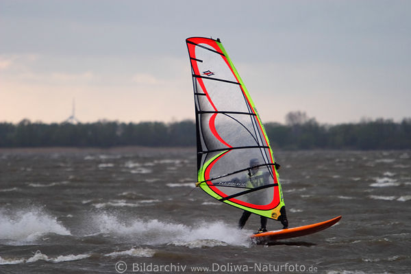 Windsurfer in Wind mit Segel ber Elbe Wellen reiten, brettern in Windsurfing Sportfoto