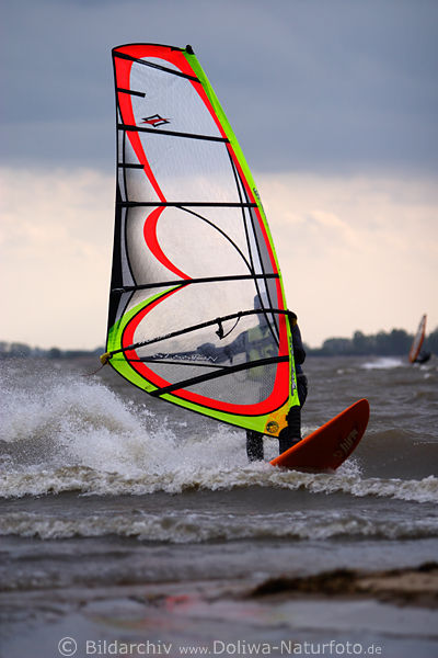 Windsurfer Paar auf Brett mit Segel auf Elbe Wellen Wasser Ufernhe strmisches Wetter brettern