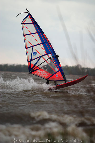 Windsurfer, Surfer brettert mit Segel in Wind ber Elbe Wasserwellen