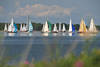 1401193_Segelregatta Yachten Panorama Foto auf Schlei Wasser Segeln Bild in Seelandschaft