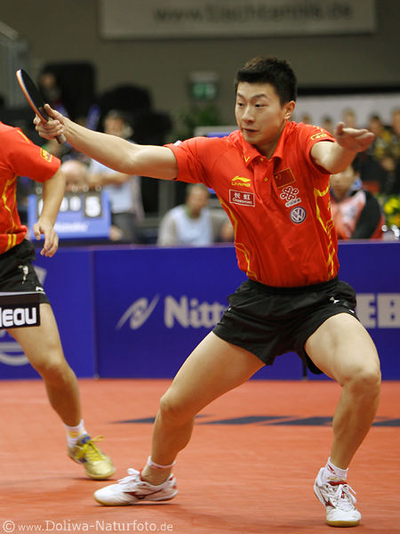 World Champion Ma Long Single Tabletennis 2019 Gold for China