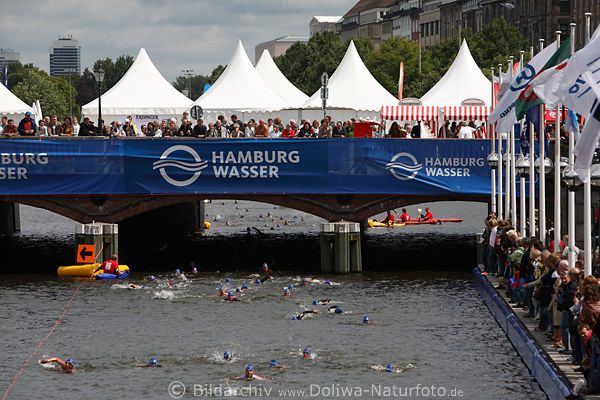 Triathlon-Schwimmer in Alsterwasser unter Reesendammbrcke Jedermann-Staffeln Sprintdistanz in Hamburg