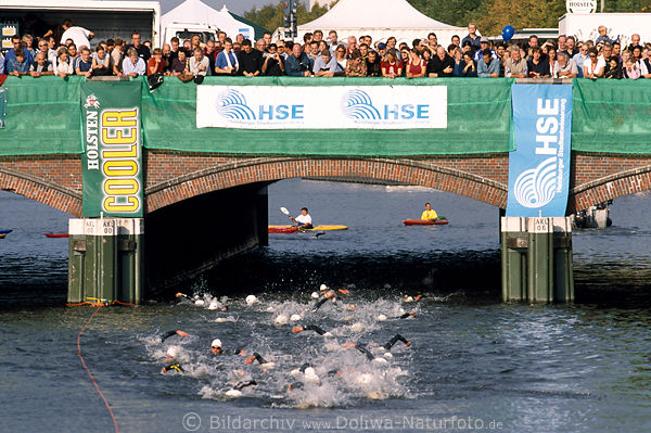 Triathlon Schwimmerinnen Elitefeld von Holsten-City-Man in Hamburg Wasser unter Alsterbrcke