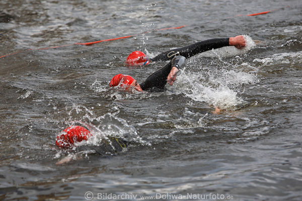 Triathlon Rotkpchen-Trio Drei Freistilschwimmer in Wasser Hamburger Alster Sportwettbewerb