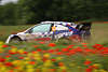 WRC Rally Polen Autorennen Geschwindigkeit in Blumenfeld Ford Focus RS image