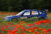 Ostberg Subaru Foto in Blumen Masuren Dynamik Autorennen Sportfoto Rennstrecke durch Blütenfeld