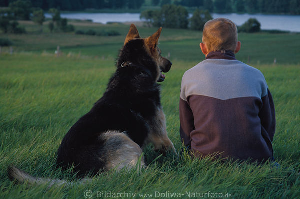 Hund mit Junge auf grner Wiese Hgel im Gras Blick auf Seewasser
