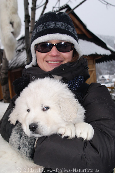 Weisser Berghund Blick in FrauenArm junger Rettungshund dicker groer Kopf 