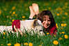 Schäferhund Foto im Gras mit Frauchen liegen Blumenwiese gelbe Frühlingsblüten