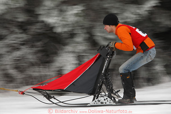 Hundeschlittenfahrer Foto dynamische Bewegungsunschrfe Rennbild am Waldrand im Schnee
