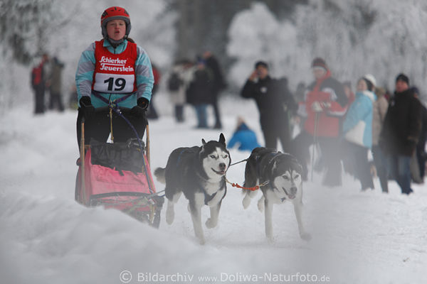 Frau am Hundeschlitten Foto Rennlauf mit Husky-Paar vor Publikum an Strecke in Benneckenstein
