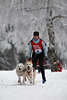 101422_Skiläuferin im Hundeskirennen Winterfoto gezogen durch Hundepaar zwei Husky in silbernen Schneelandschaft bei Benneckenstein im Harz