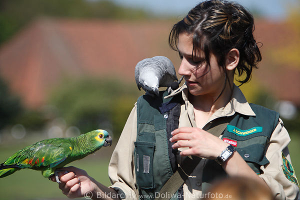 Tierpflegerin mit Papageien am Arm in Bild von Flugschau in Vogelpark Walsrode