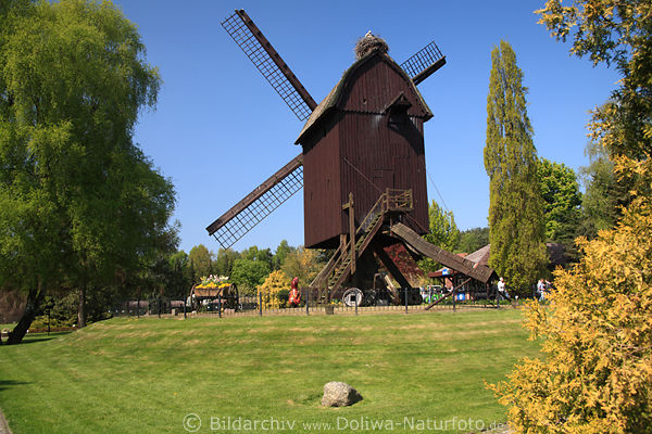 Alte Mühle Bild in Garten Park Vogelparadies Walsrode Foto schöner Frühling-Ausflug