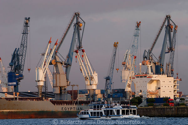 Hafen-Krne ber Containerschiff MS Egyptian in Hamburg Terminal Steinweg an Elbe