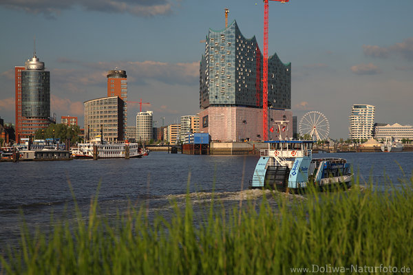 Hamburg Skyline Sduferblick Elbphilharmonie Schiff Wilhelmsburg in Elbwasser Grngras Landschaft