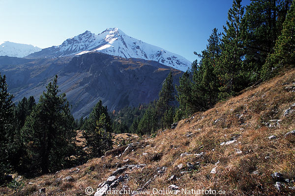 Berge schroffe Felswelt, Sdtirol Alpen schwarze Felsberge mit Schnee, grne Kiefer Naturaufnahme 