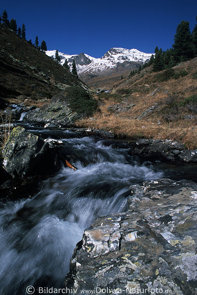 Bergwasserbach, rauschender Wildbach im Alpental, Stilfserjoch Berglandschaft Schneegipfel Blick aus Sdtirol