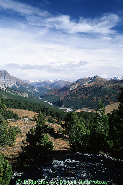 Mnstertal Nadelwlder, Natur karge Berglandschaft am Ofenpass, Nationalpark Stilfserjoch Ausblick auf Rtische Alpen