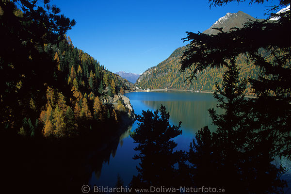 Stausee-Panorama von Zufrittsee, Berge Kieferwald, Wassertafel  Naturstille Sdtirols