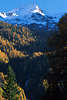 0841_Gramsenspitze Foto Schneegipfel Südtiroler Alpen Berglandschaft über Kiefer Bergwald Bach Herbstbild