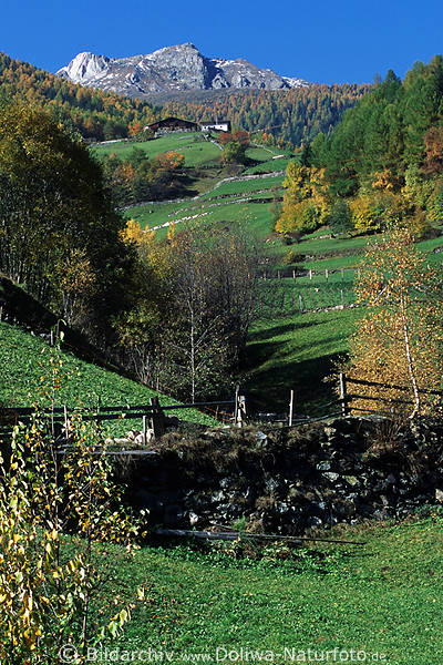 Weideterrassen am Berghang, Sdtirol Alpenlandschaft, Bauernhof, Gipfelfelsen ber Martelltal
