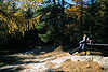 Waldlichtung Urlaubsidylle Wanderrast Foto Frauen-Paar unter Bumen sonnen, vertrumt auf Bank
