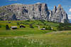 1101161_SeiserAlm Grnwiesen Berglandschaft Schlern Wildblumenblte Naturbild vor Felspanorama