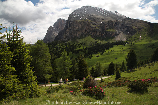 Plattkofel Foto Wandererweg SeiserAlm grne Berglandschaft Dolomiten Gipfelblick