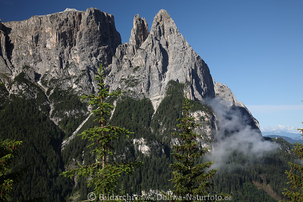 SantnerSpitz Foto Dolomiten Felsspitze grne Berghnge Wald Bume Naturbild Sdtirol Alpenlandschaft
