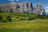 1101158_Dolomiten Almpanorama Naturbilder Schlern über Seiser Almwiesen Blumenblüte Berglandschaft Romantik