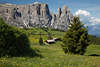 1101164_Schlern Felsen Bergpanorama Naturbild über SeiserAlm grüne Bergwiesen Dolomiten Landschaft