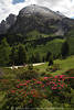 1101467_Plattkofel Rosenweg Foto Dolomiten Wanderer unter Gipfel auf SeiserAlm Berglandschaft grüne Naturidylle