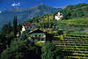 Meraner Berggartenidylle Reisebilder Südtirol Villen Urlaub in Gipfel Panorama Texelgruppe