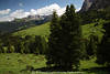 1101481_SeiserAlm Berge Naturidylle Foto Dolomiten Landschaftsbild Bäume grüne Wiese Hütten am Plattkofel