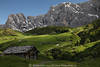 Dolomiten Natur Bergidylle Bilder Antermoia weisse Felsen Molignon grüne SeiserAlm Berglandschaft