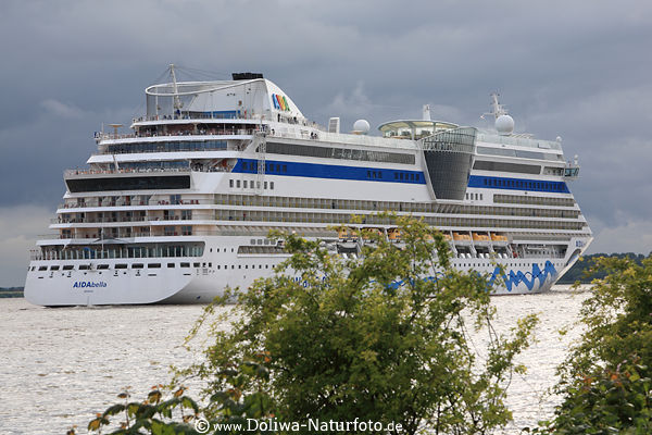 AIDAbella Kreuzfahrt Schiff in Elbe-Flusslandschaft bei Hamburg