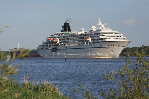 Amadea Flusskreuzfahrt in Elbwasser