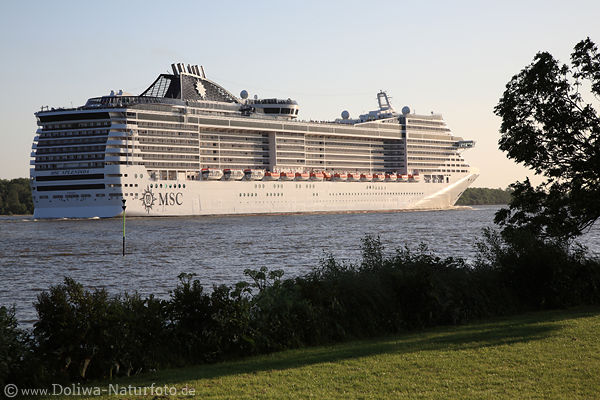 MSC Spendida Schiff Elbe Flussreise Wasser Kreuzfahrttour