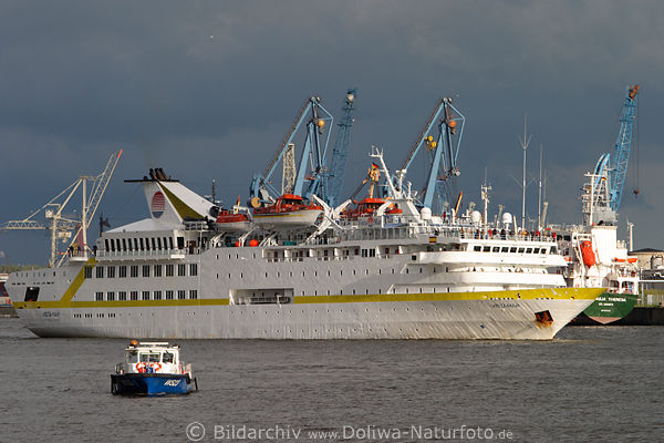 MS Vistamar Kreuzfahrt Reiseschiff in Hamburg Hafen Lichtstimmung Elbe-Flussfahrt