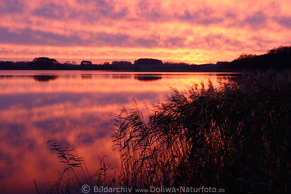 Glhender Himmel rot-lila Wolkenstimmung bei Morgendmmerung