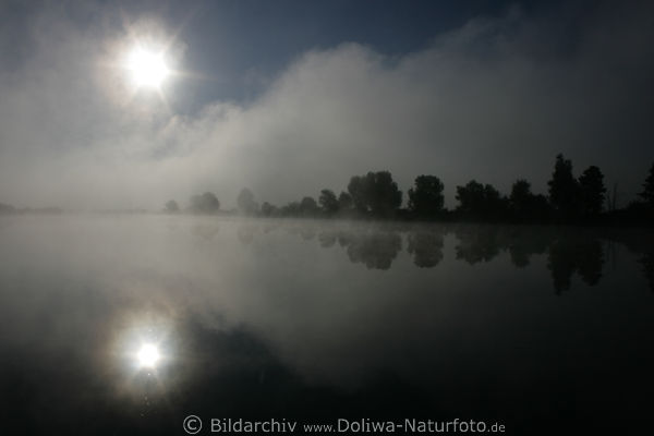 Nebel Sonne unheimlich Dunkelstimmung ber See Foto Ufer Bume Wasser Spiegelung