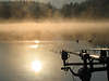 Goldnebel ber See Angeln-Routen Enten Wasser Naturbild Nebelschwaden  Waldblick Landschaftsbild