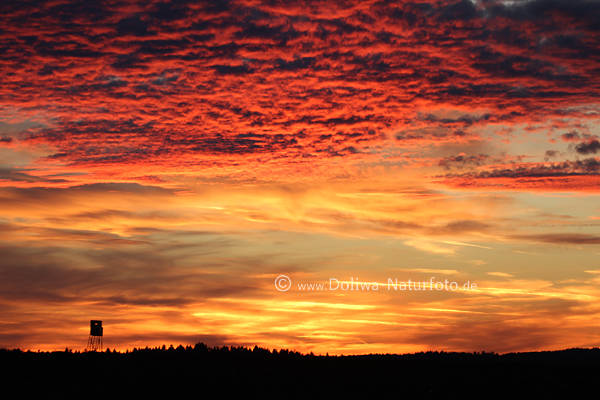 Rothimmel Wolkenglhen Fotografie Naturschauspiel Bild Jagdkanzel am Horizont in Rotlicht nach Sonnenuntergang
