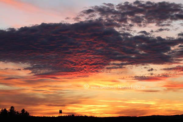 Rothimmelwolken  ber Jagdkanzel am Horizont