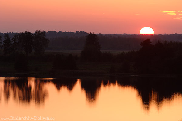 Sonne Halbkugel hinter Waldhorizont Stille See