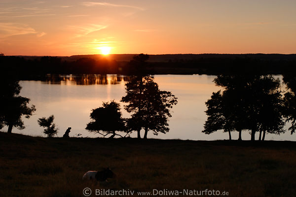 Sonnenuntergang See Horizont Abendstimmung