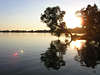 Sonne Baum in Seewasser geneigt Romantik Naturfoto Sonnenuntergang Spiegelung